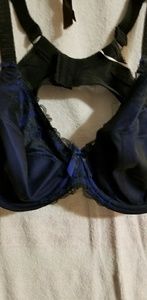 Anushka Blue lace bra